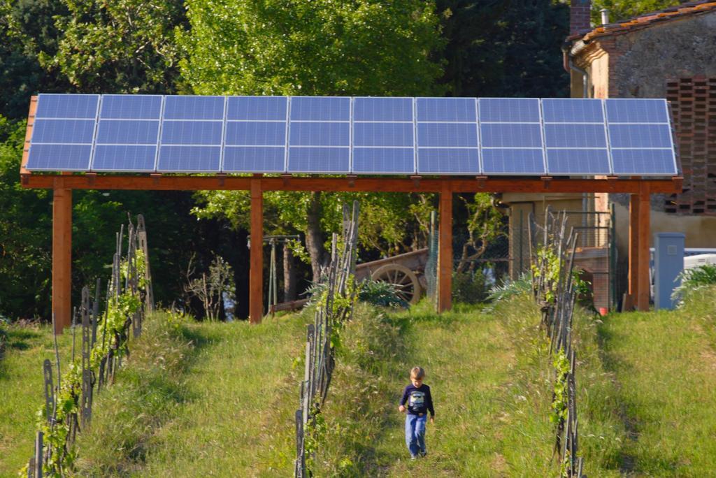 Agriturismo Le Volpaie Villa San Gimignano Exterior foto